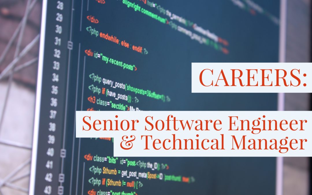 [CLOSED] Senior Software Engineer & Technical Manager (Tools Lead) – Dar es Salaam, Tanzania