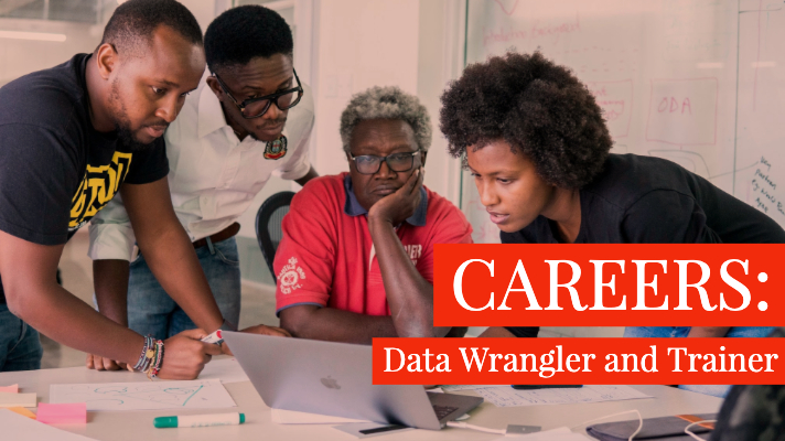 [CLOSED] Data Wrangler and Trainer – Lagos, Nigeria