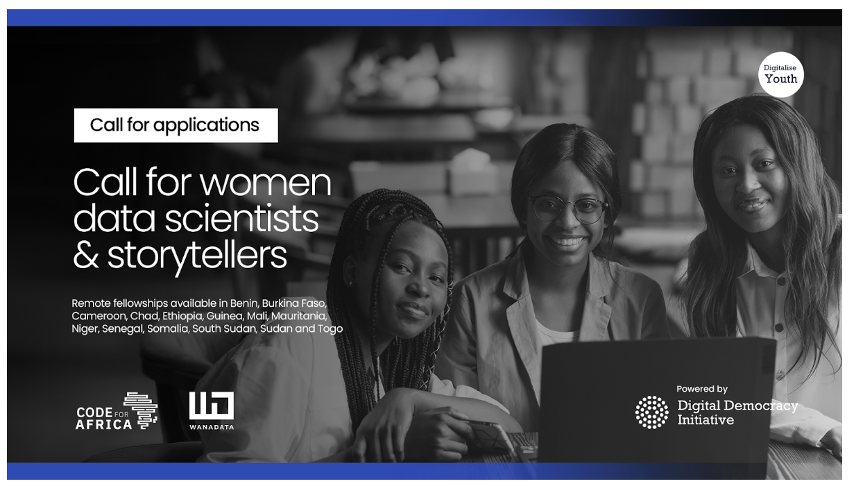 [CLOSED]WanaData Fellowships: Digitalise Youth Voices in Africa ...