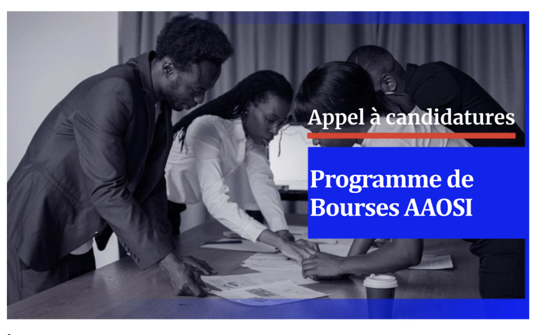 Appel à candidatures : Programme de bourses AAOSI destinés aux journalistes basés en Afrique de l’Est, en Afrique de l’Ouest et dans la région du Sahel.